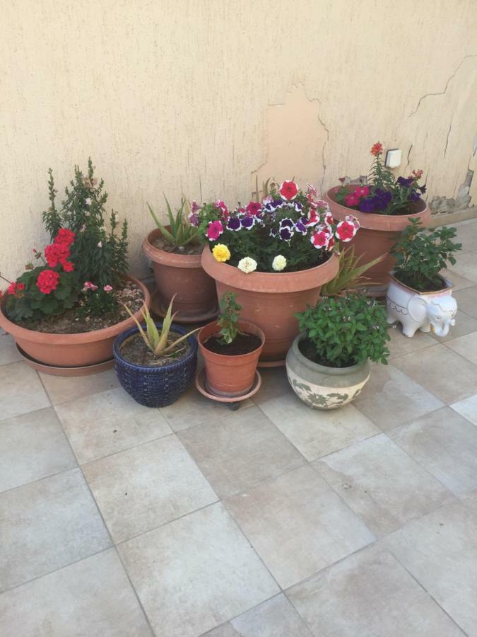 Artemis House Limasol